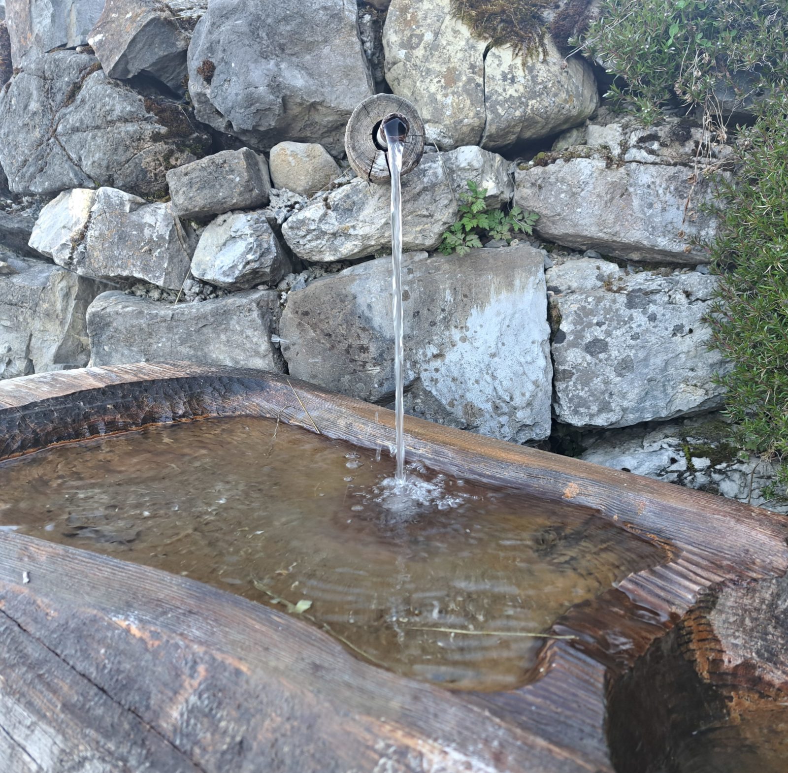 Notre rapport annuel 2025 est disponible: